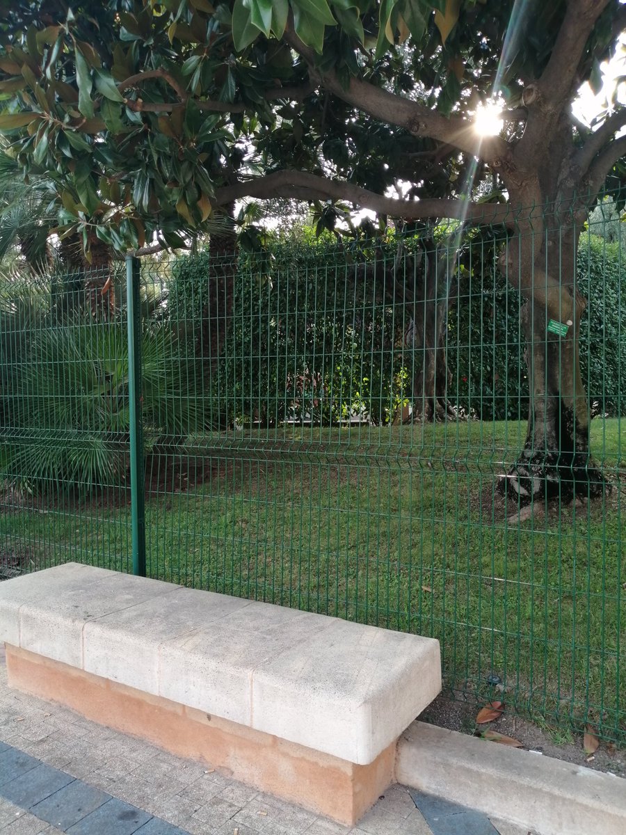 Scrivendo non facevamo altro che ricordare...
#StefanoBenni

#24settembre #love ♥️