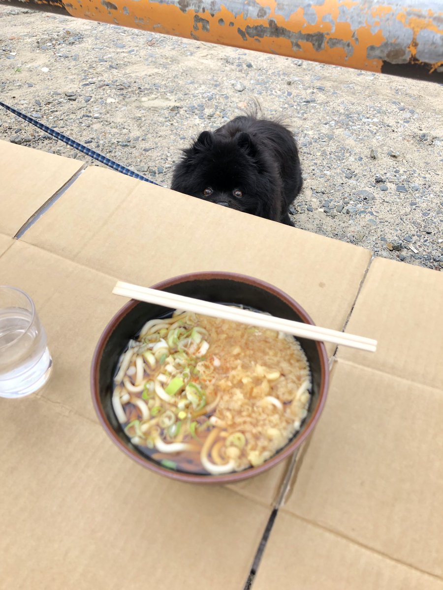 life_is_sooty's tweet photo. #ナナイロ でコーヒー飲んで #BreadGARDEN で並んでパンを買って、 #サンフーズ でかけうどん
#いわき #小名浜 https://t.co/Pt3GWcEZQI
