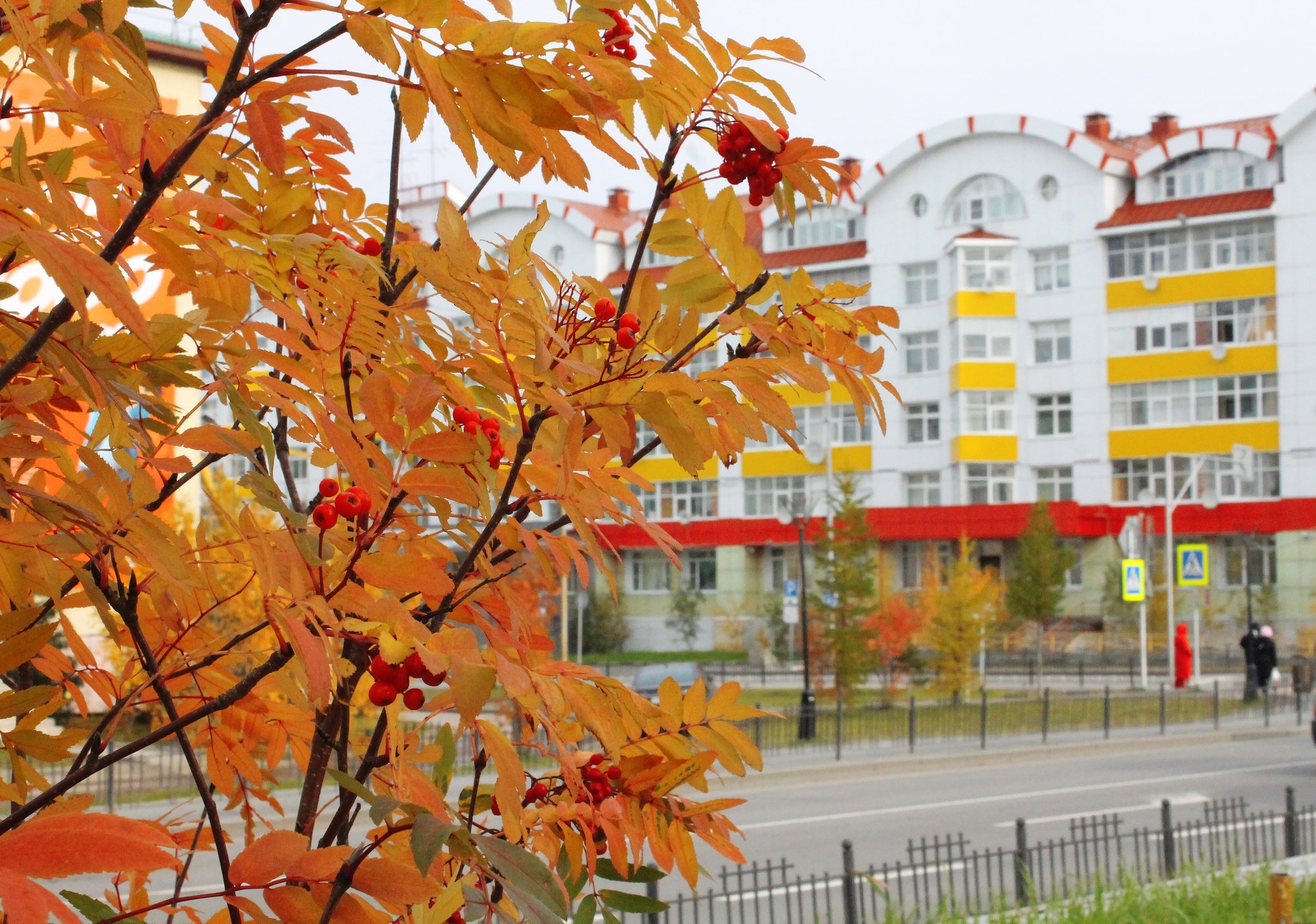 Ноябрьск осень