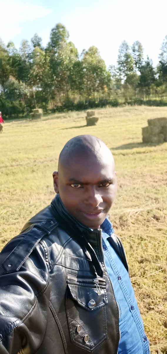 sammymuthee's tweet photo. This season has not been good in agriculture, nevertheless, we give thanks to God for Providence. #harvestingtimes @rodgers_kirwa @CalebKaruga https://t.co/L2kFPzv5hG