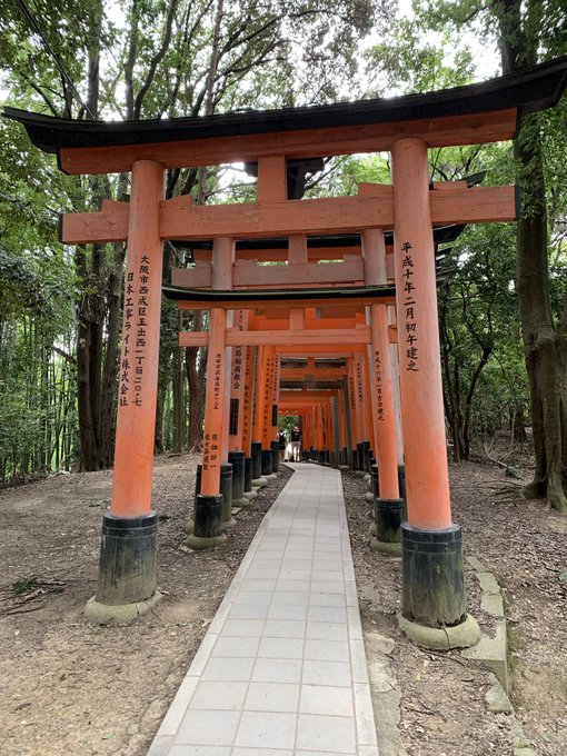 見下ろしのtwitterイラスト検索結果 古い順