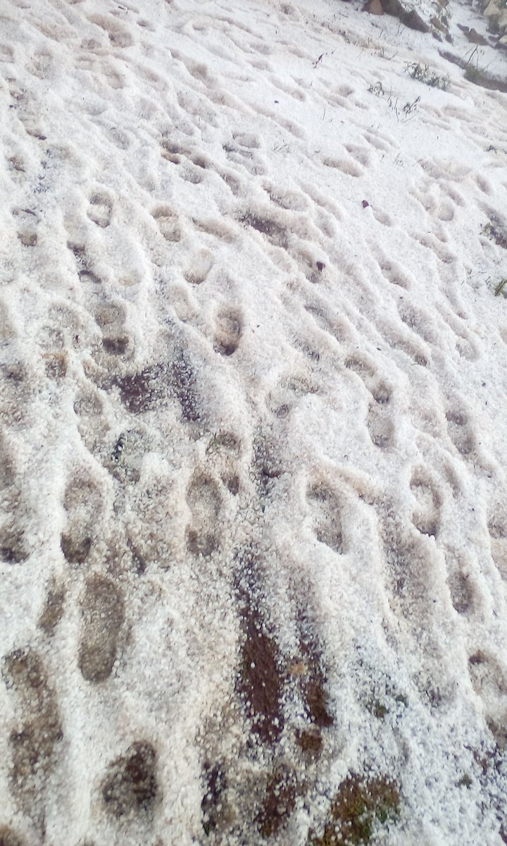 ericheruiyot's tweet image. Global warming is real, let us do something about it!!! Hailstones in kuresoi north, tulwet location, nakuru County.