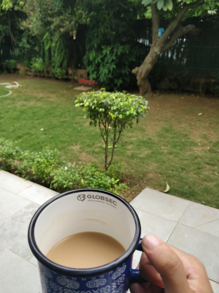 anushkacyber's tweet photo. In New Delhi for some work engagements and this is the best way to have my morning cup of tea in the family garden :) @GLOBSEC https://t.co/E5jJBMJP2X