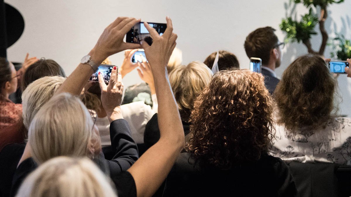 Annsi Krol tweet media