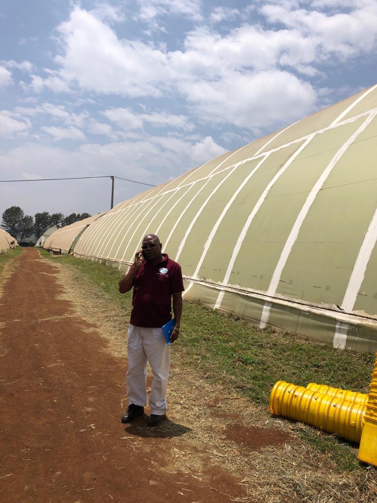 GinegarCover's tweet photo. Yoram Sztyglic our Chief Agronomist traveling in the land of Kanya with our Long time distributor Amiran Kenya! Ginegar's #greenhouse cover- smart cover solutions...
Learn More: https://t.co/PAq9INAHRH https://t.co/TT6SaX05Or
