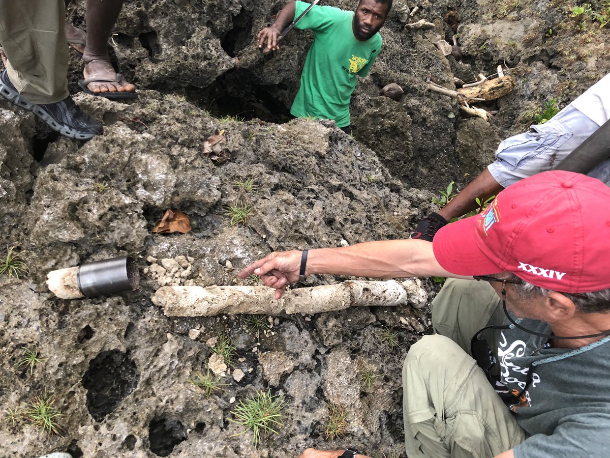 junglecave's tweet photo. Success on our first test and on our first core recovered! The hunt is on for #PaleoENSO #corals!!!! Now it’s time to drill, baby, #drill! /end of thread... for now https://t.co/VqWCsXxiTk