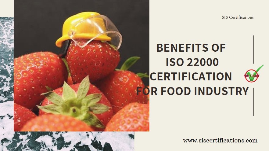 siscert's tweet photo. Read this given blog and know more about Benefits of ISO 22000 Certification for Food Industry.
Visit this - https://t.co/uR2ZJzL7Q7
#SISCertifications #ISO22000 #ISO22000Certification #ISOCertification #ISO22000CertificationinIndia #ISO22000CertificationinGurgaon https://t.co/M777V86DOR