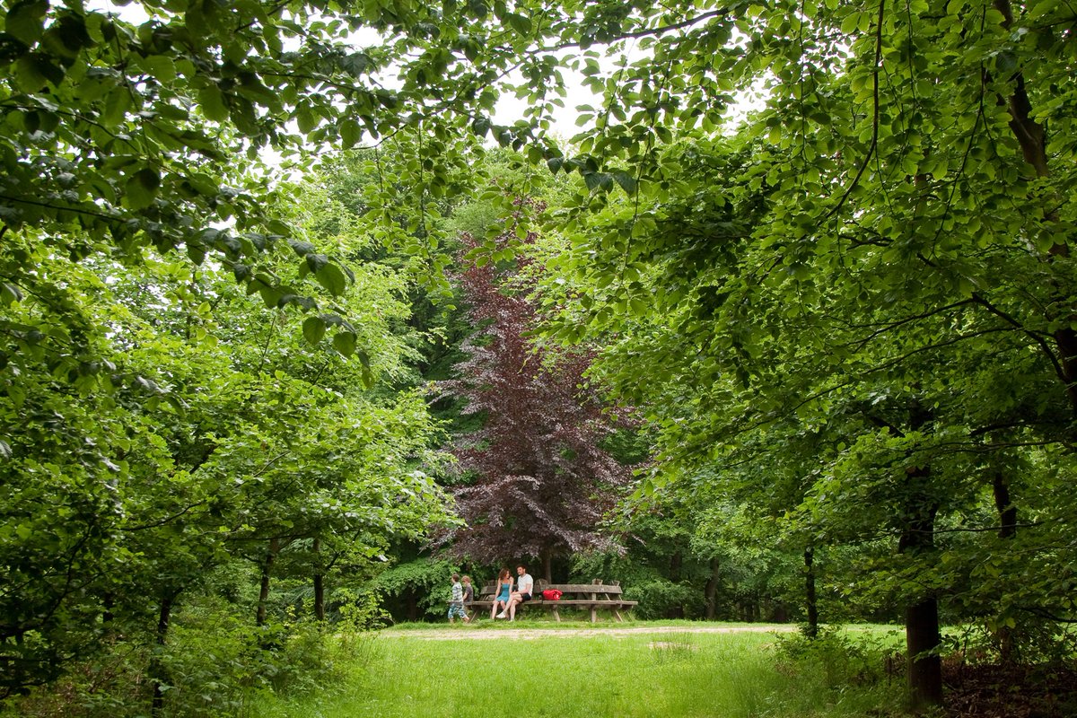 wandelzoek's tweet photo. 23 mooiste Groene Wissels

Na afloop van de wandeling gaan we altijd lekker ergens wat drinken en beoordelen we de gelopen wandeling. Iedereen schrijft achterop het viltje een cijfer van 1 t/m 10. 

Bekijk de top 23

https://t.co/gTWdnTqVlc https://t.co/VxYme0MYQ6
