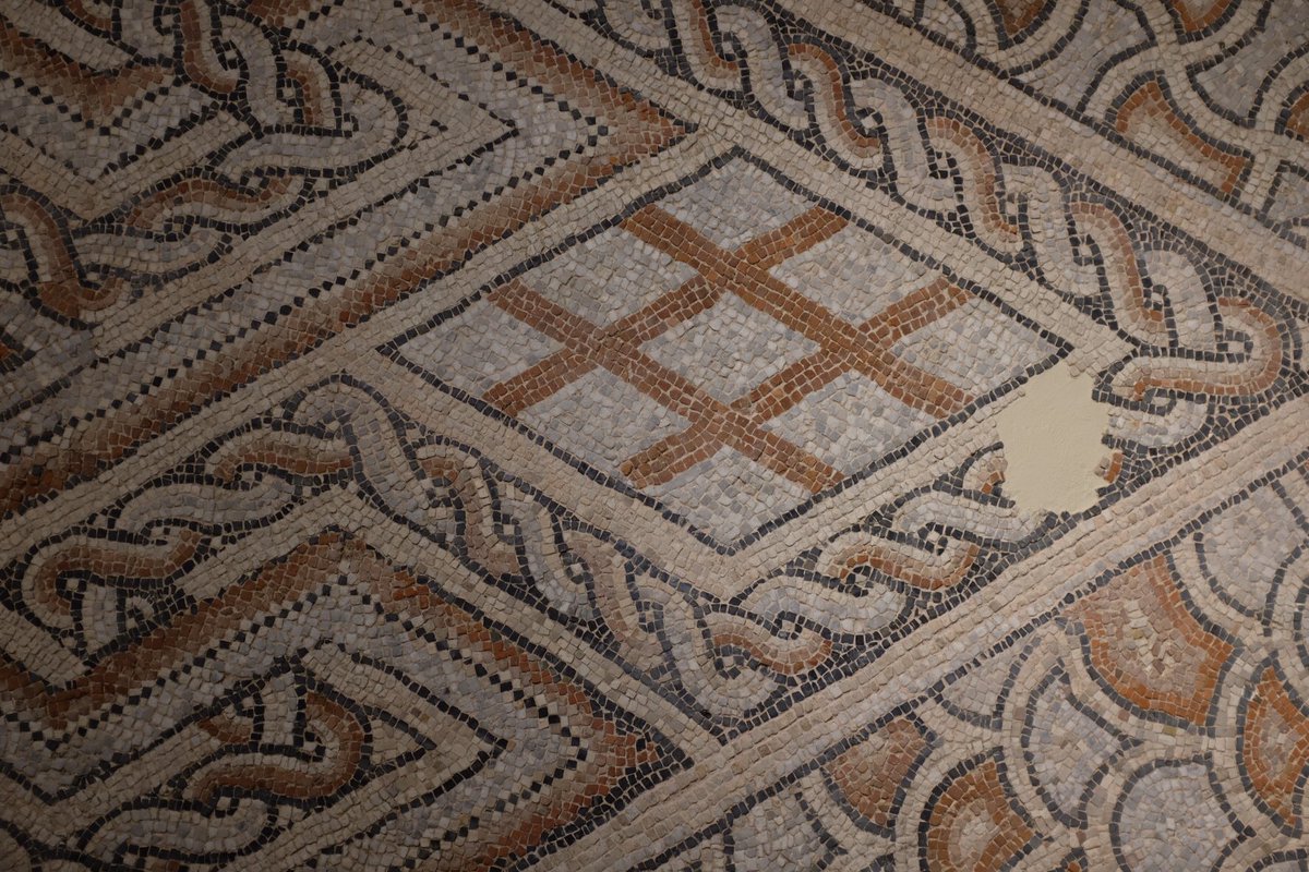 YummyPlanetBlog's tweet photo. Assister à une conférence dans un musée, c’est quand même plus classe que dans un banal centre de congrès ! 🤩 #stsravenna #inEmiliaRomagna https://t.co/8bLAlfXddH