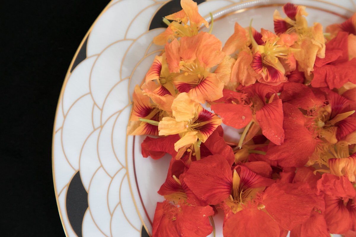 Valentin Néraudeau (@chefvalentin) on Twitter photo Couleur d’automne et de saison... les fleurs comestibles donnent une jolie touche finale à vos plats. <a href="/HavilandLimoges/">Haviland Porcelaine</a> #chefprive #chefvalentinneraudeau #gourmandversuslight #recette #cuisine Couleur d’automne et de saison... les fleurs comestibles donnent une jolie touche finale à vos plats. <a href="/HavilandLimoges/">Haviland Porcelaine</a> #chefprive #chefvalentinneraudeau #gourmandversuslight #recette #cuisine