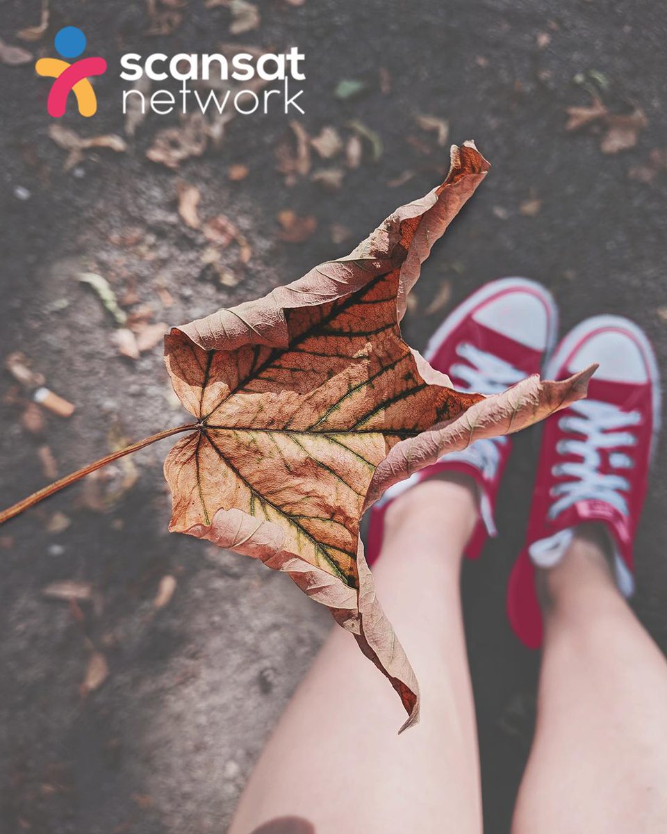 ScanSatNetwork's tweet image. Ya ha llegado el otoño y se acerca el fresco muy poco a poco. y que mejor que arroparse en casa sabiendo que tienes todos tus programas y internet con fibra óptica.
'
ScanSat Network
Fibra, Televisión, Telefono 🖥💻📱
'
'
#Torrevieja #costablanca #otoño #frio #ofertas #television