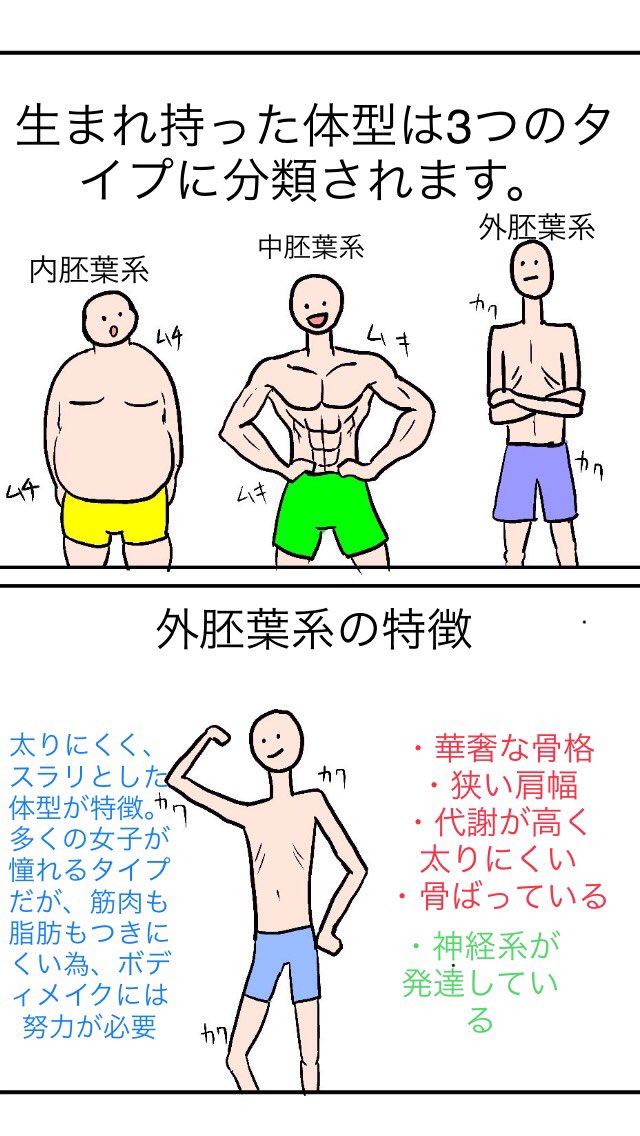 内記渓人 恵比寿パーソナルトレーナー Ar Twitter 体型は生まれつき決まってる 人の体型は3つのタイプに分けられます 生まれつき痩せ やすい体質 筋肉がつきやすい体質 太りやすい体質など先天的にどのような体型になりやすいかは決まっているようです とは 内記渓人 恵比寿パーソナルトレーナー Ar Twitter 体型は生まれつき決まってる 人の体型は3つのタイプに分けられます 生まれつき痩せ やすい体質 筋肉がつきやすい体質 太りやすい体質など先天的にどのような体型になりやすいかは決まっているようです とは