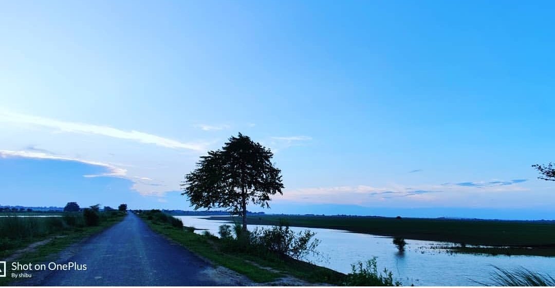 Shailen92741646's tweet photo. Everybody likes to walking through sceinc winding raod it's hard to find people who Sitting in traffic cities...
#loneroad #ainymood🌧️
#evengsky☁️#natureclick📷
#Myphotography
#lovefornature❤️
#bluesky #Greenry🌿
#Shotoneplus7pro
#coolcaptuded
#Owsmweather
@Shailen92741646 https://t.co/nMuuIdOMzC
