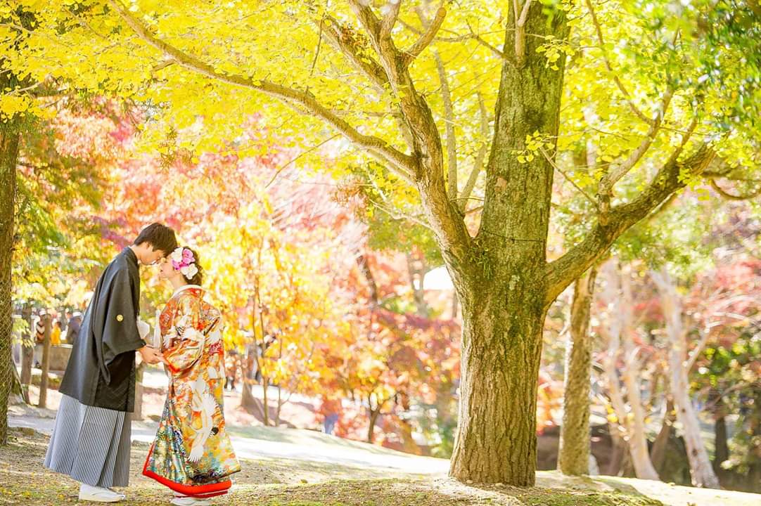 Pg山田 グルビ على تويتر 紅葉シーズン 前撮りで 京都 て イメージなんですが 皆さんの言う京都 永観堂や東福寺は 当然撮影できないし 祇園なども撮影規制が始まり 嵐山は渋滞で動けない 京都の前撮り 植物園でてのも珍しくないです 関西で紅葉 前撮り 山田なら Pg山田 グルビ على تويتر 紅葉シーズン 前撮りで 京都 て イメージなんですが 皆さんの言う京都 永観堂や東福寺は 当然撮影できないし 祇園なども撮影規制が始まり 嵐山は渋滞で動けない 京都の前撮り 植物園でてのも珍しくないです 関西で紅葉 前撮り 山田なら