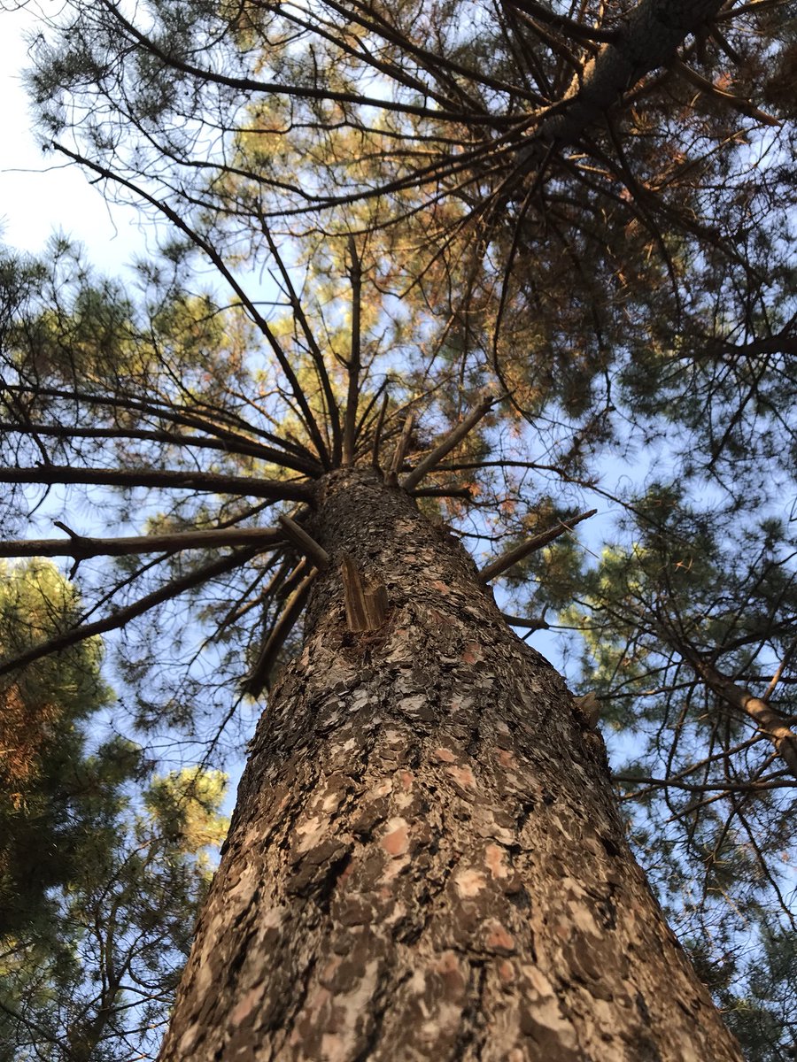 NATPICSs's tweet image. By summer ,
Welcome autumn 🍂