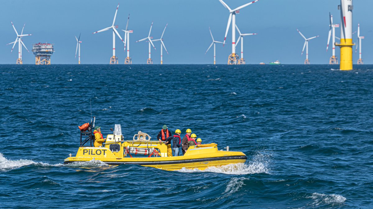 MarineAtUGent's tweet photo. Looking for a job? Fascinated by on-& offshore opportunities? Want to co-create a Living Lab in Ostend @StadaanZee #BlueAccelerator #BlueEnergy #Maritimetestplatform - Check out the vacancy Innovation Manager 👉https://t.co/CGqhI4G3T0 https://t.co/QI3j0iVqtw