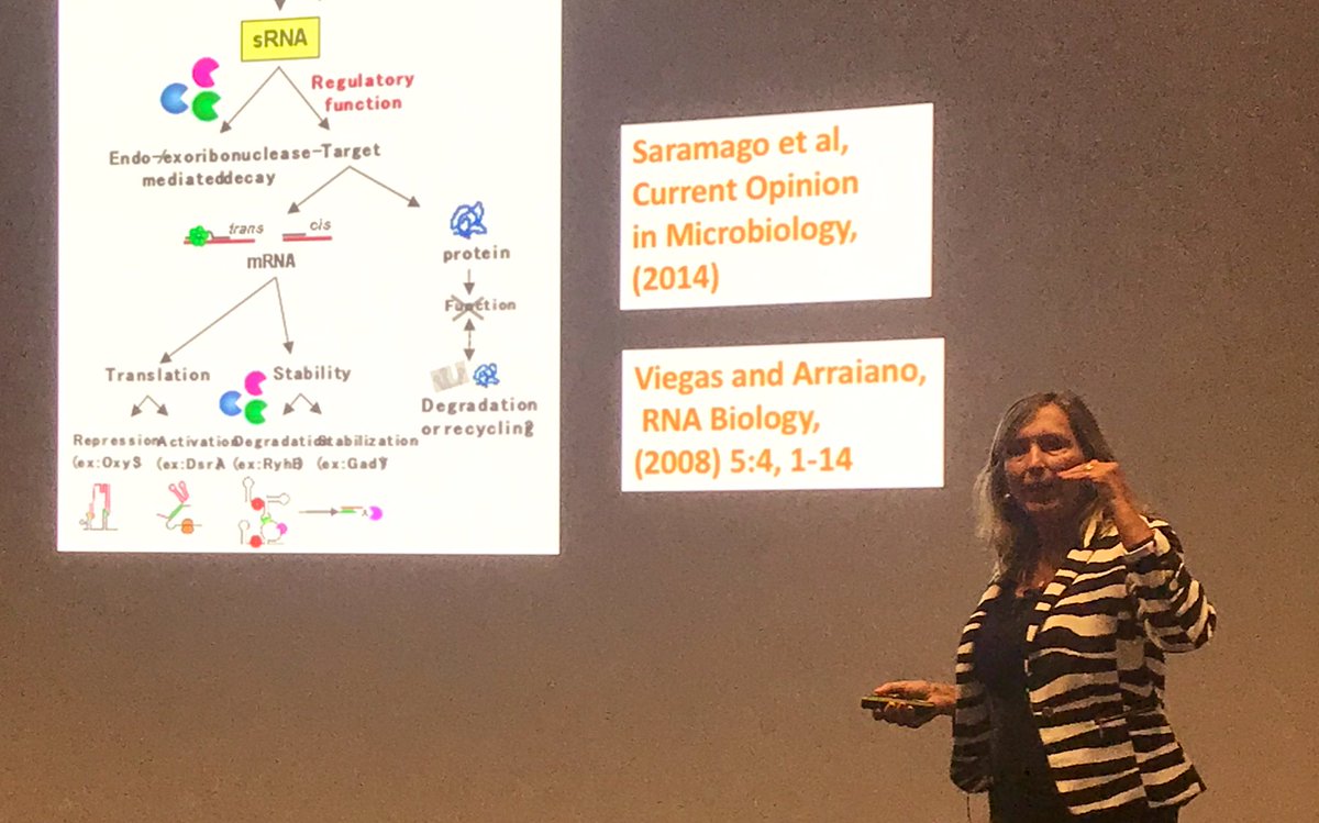 vdlorenzo_CNB's tweet photo. Everything you wanted to know about the RNA world (but prefered to ignore): @ArraianoLab talk in #EMBOSynBio There is a whole lot of control layers brought about by RNA—other than transcription &amp; translation—that we generally pass over 🤔 https://t.co/kOsLFuPffv