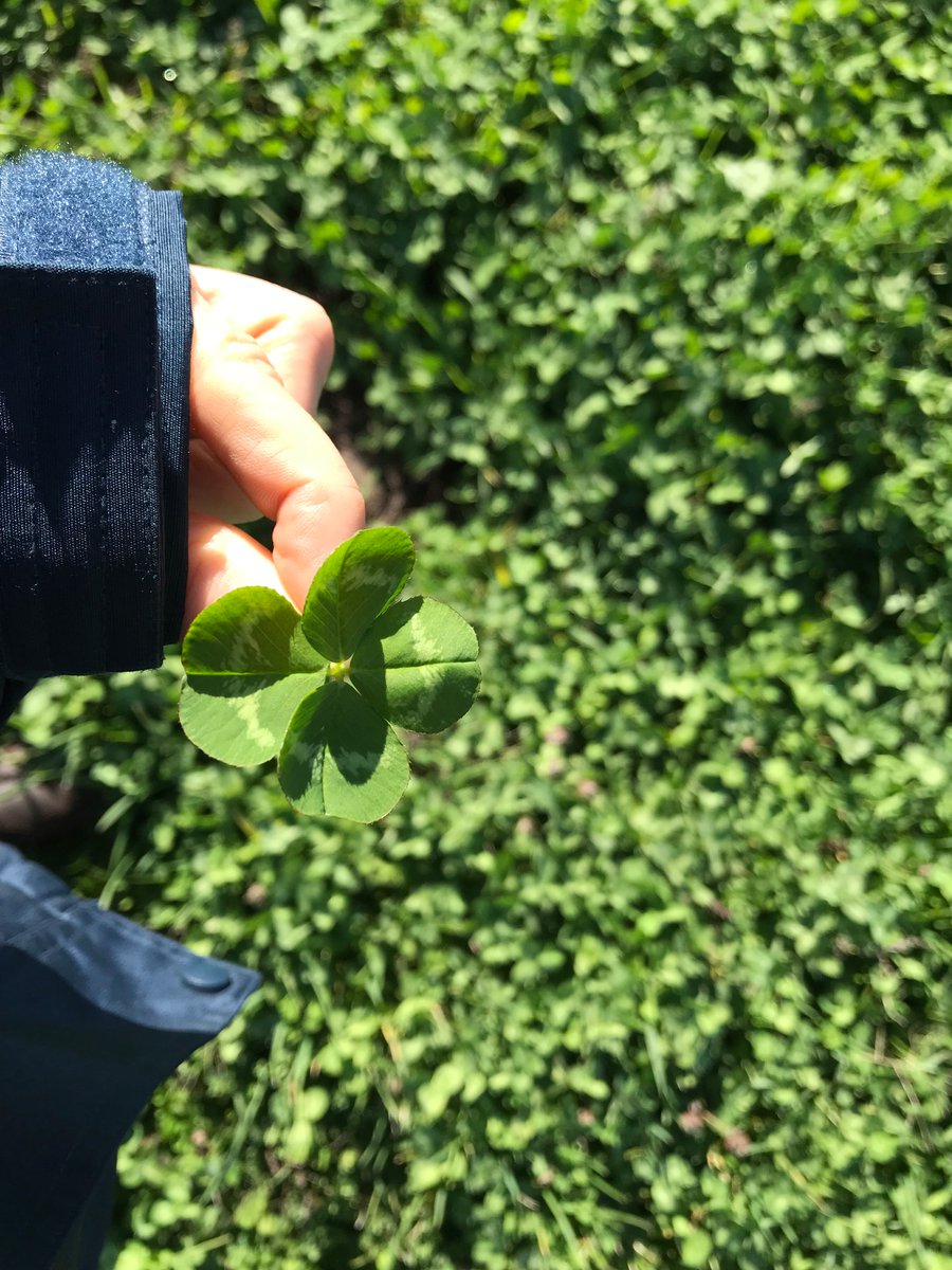 Dr. Beth Penrose tweet media