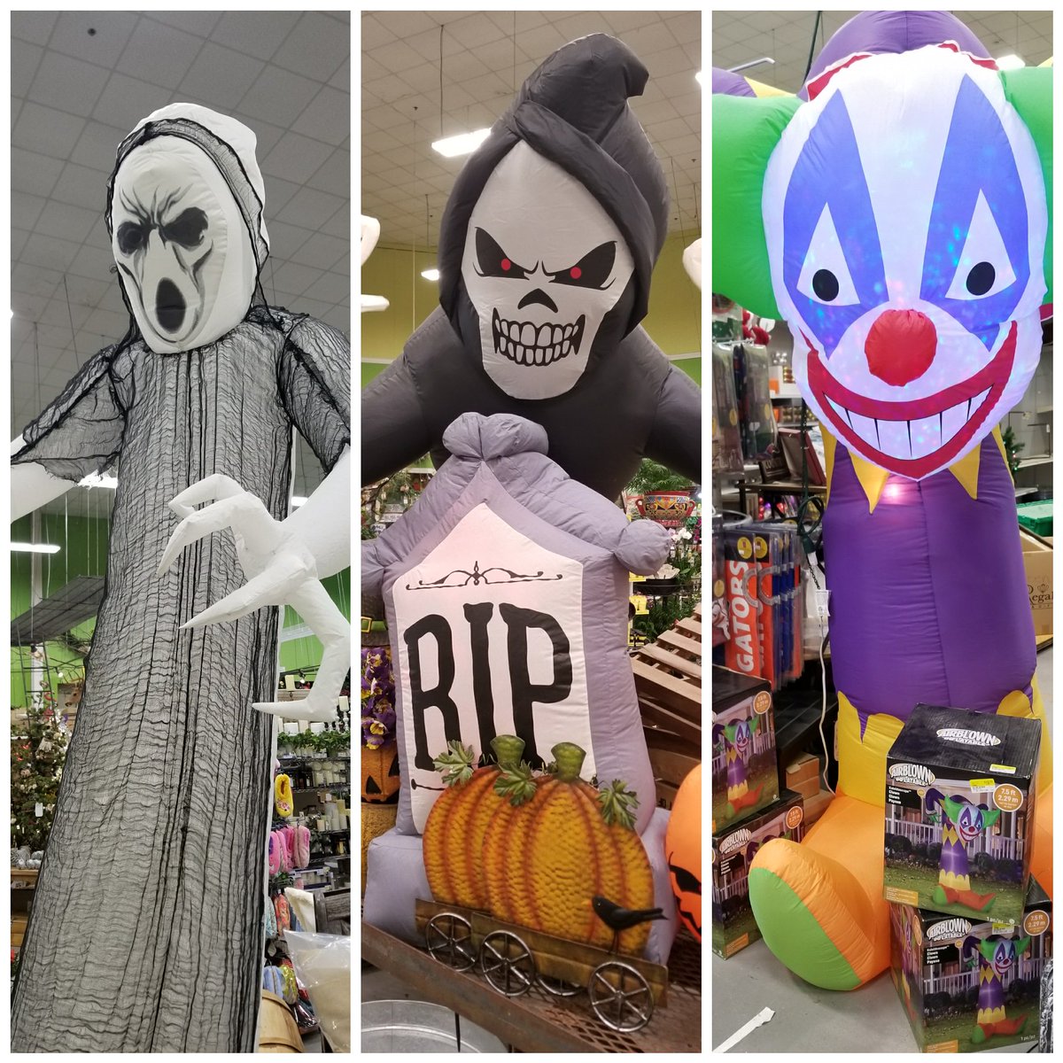 EspositosGC's tweet photo. How cool are these? Just in time for Halloween, these blow up yard ornaments are perfect for those that love the Halloween holiday and all the scariness that comes with IT. Get IT? :) https://t.co/5YLWsa574d