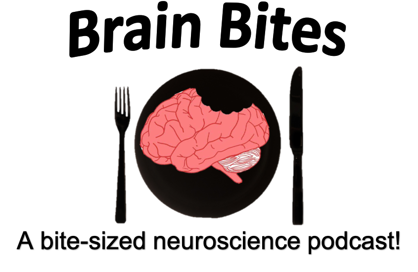 ascendneuro's tweet image. Hey #NeuroExplorers! Stay tuned for our newest episode of #BrainBites! 

First up, Chemical Senses: Taste and Smell!! 

Check them out at this link in our bio! 

ow.ly/I3KK50wfMAZ

#ASCENDneuro #SciComm #senses #podcast #neuroscience