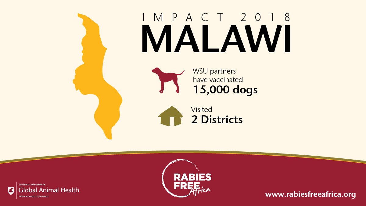 WSU Global Health tweet media