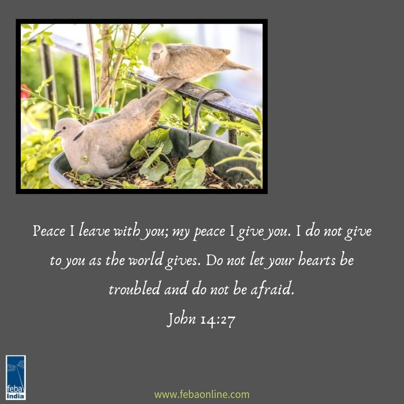 febaindia's tweet photo. #Peace #GodlyPeace #Love #Hope #Febaonline #Mediamissions #SpreadLove https://t.co/iC4UVi1loF