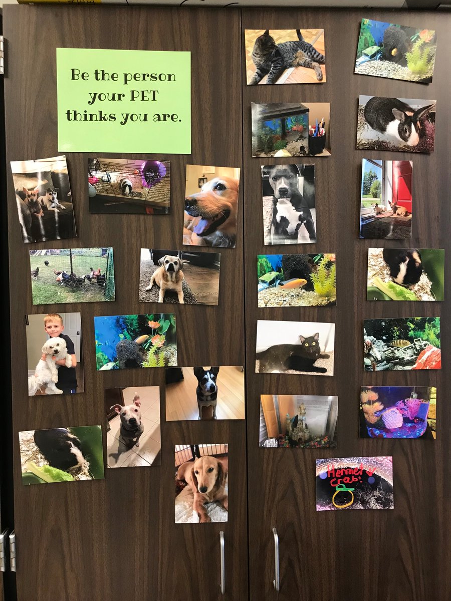 MissWessel5's tweet photo. Name a better way to motivate your Ss than with pictures of their pets!! A guaranteed way to make them smile! #SullivanRocks #Proud2BD23 #RelationshipsFirst @PHSD23 @D23Sullivan https://t.co/Dr699W0NIc