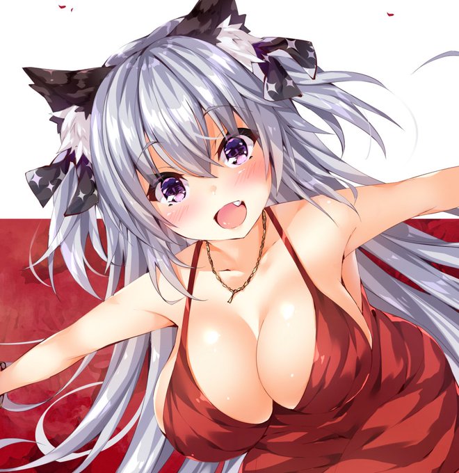 きょうはどこであそぶにゃ?🐱✨ 