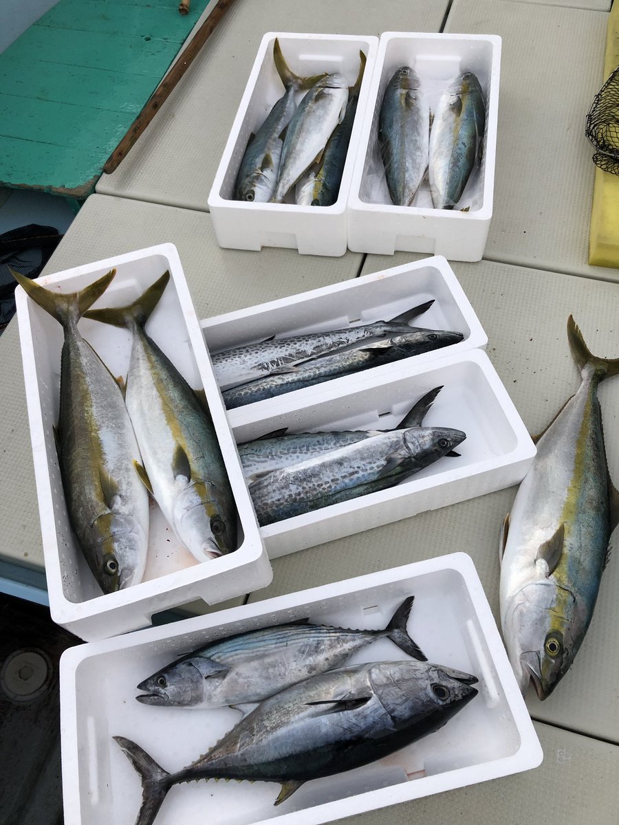 ラブリーヒラス ブリ 最高の花の画像