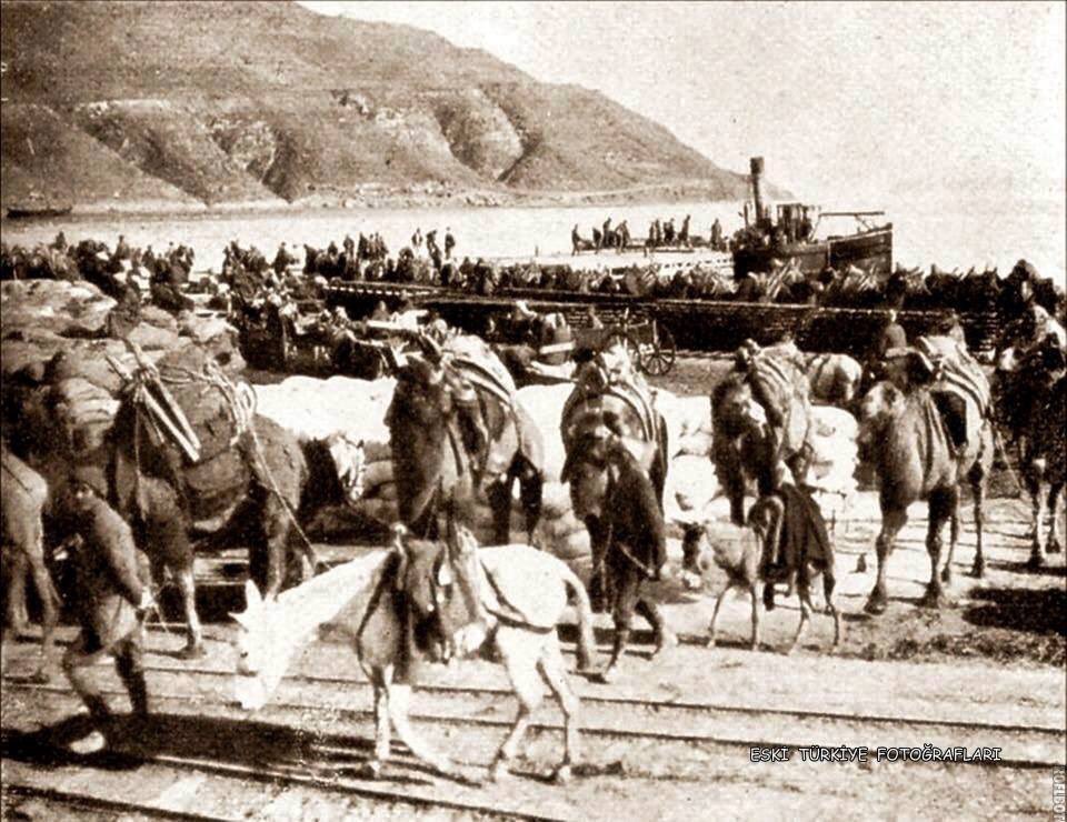 volkan_eldem's tweet photo. #Kilyekoyu #Eceabat #Maydos #Gallipoli1915 https://t.co/gFflSKRTTj