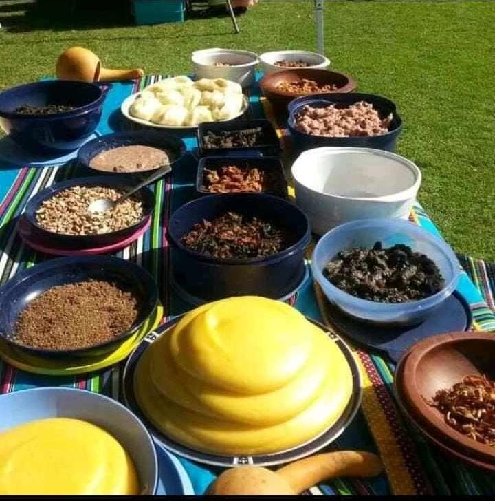 NetshikhudiniS's tweet photo. Our food

Proudly venda

#HeritageDay https://t.co/9eUzvr8Vb4