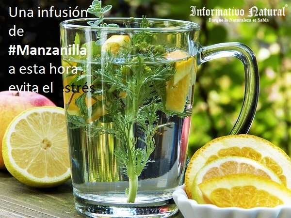 InformativoNat tweet picture
