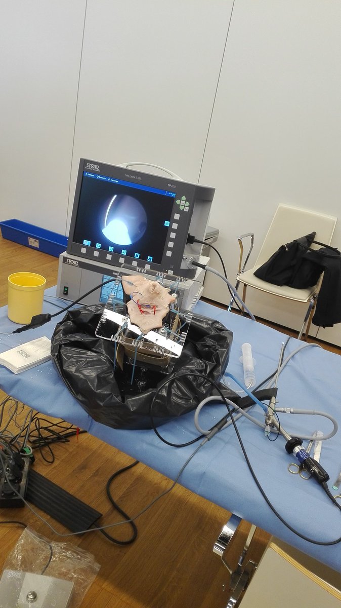 GianlucaPellino's tweet photo. Hands-on experience at #analfistula course
#ESCP2019 

Great mentors supervising the attendees doing #VAAFT #LIFT #flap #FiLaC laser #OTSC

#colorectalsurgery https://t.co/IBqwjpumyg
