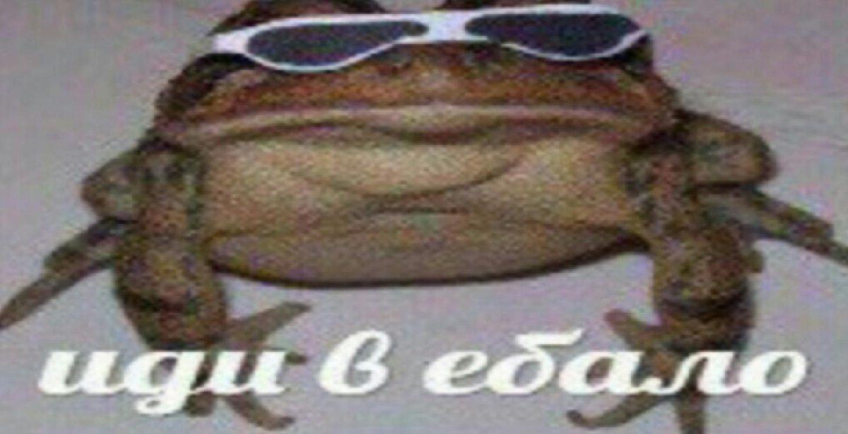 лягушка мем. мемы с жабами. жаба мем. мем про жабу. мемы с лягушками живыми.