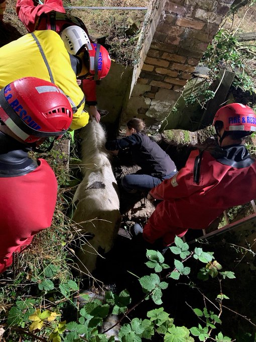LondonFire's tweet photo. Firefighters from #Hillingdon assisted @Bucksfire, @RBFRSofficial and @RSPCA_official with a large animal rescue. They used heavy lifting equipment to free a horse which had got stuck in a deep pit in #Wexham The horse has made a full recovery #notjustfires https://t.co/5gU27qPAxH