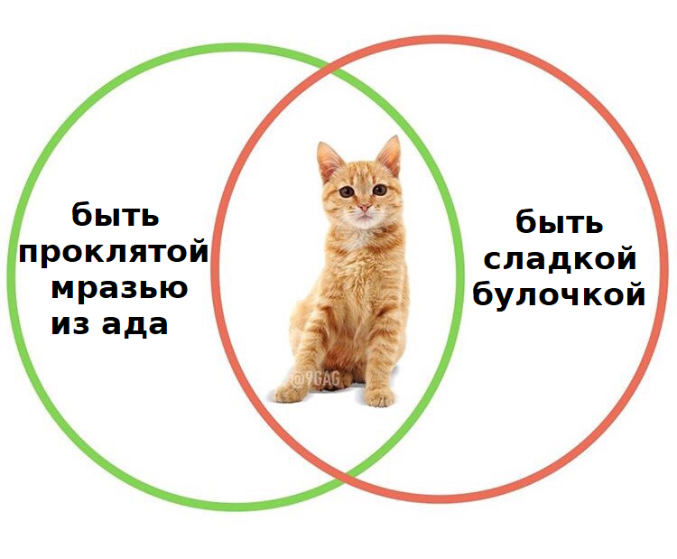 Ужасные мемы (@so_mad_so_funny) on Twitter photo 
