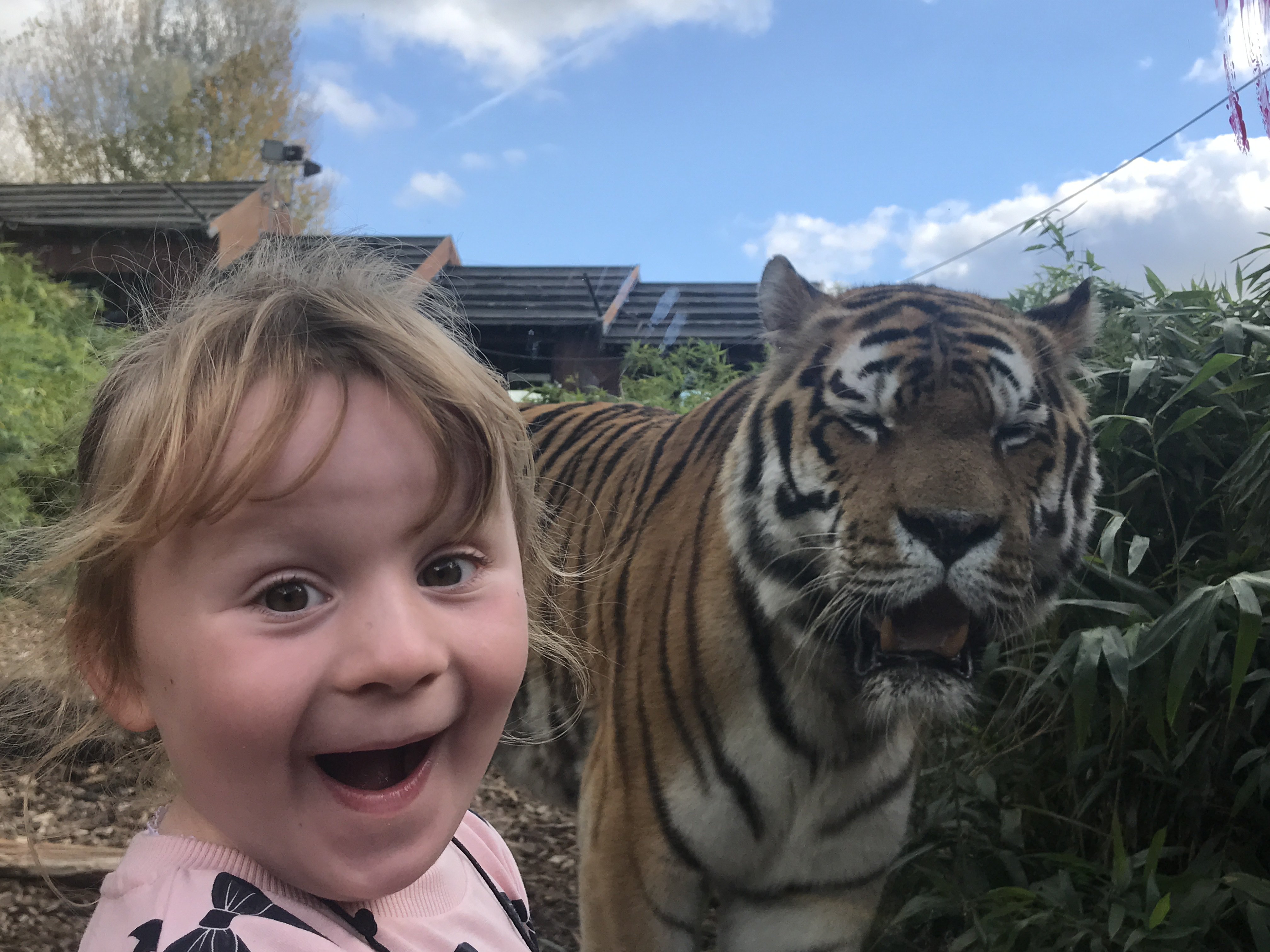 Colchester Zoo on Twitter Share your best photo using 