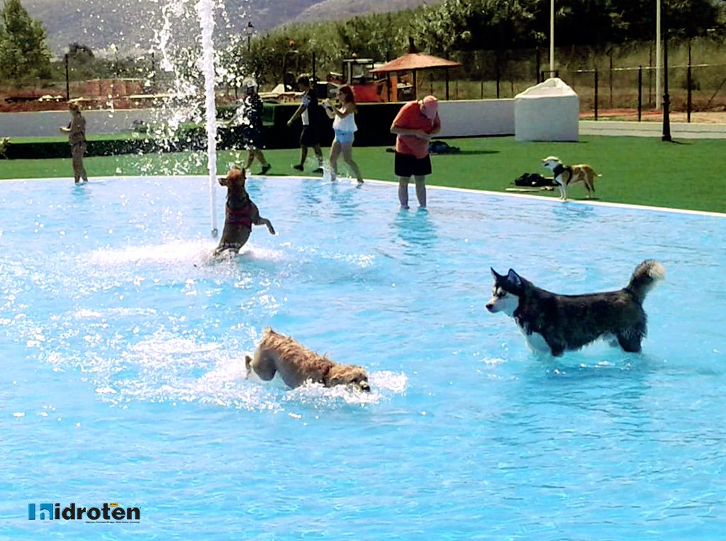 hidroten's tweet photo. ‼️Proyecto de éxito
Nuestro cliente @Sattaingenieria ha llevado a cabo el #proyecto #hidráulico de la #piscina para #mascotas de 1000m2 en el Trust #Resort #Canino de #Ondara (#Alicante). Optando por productos únicos y nuestro sistema #Netvitc #System®.
📰https://t.co/R7ROszRcxa https://t.co/iC9W0uQVkI