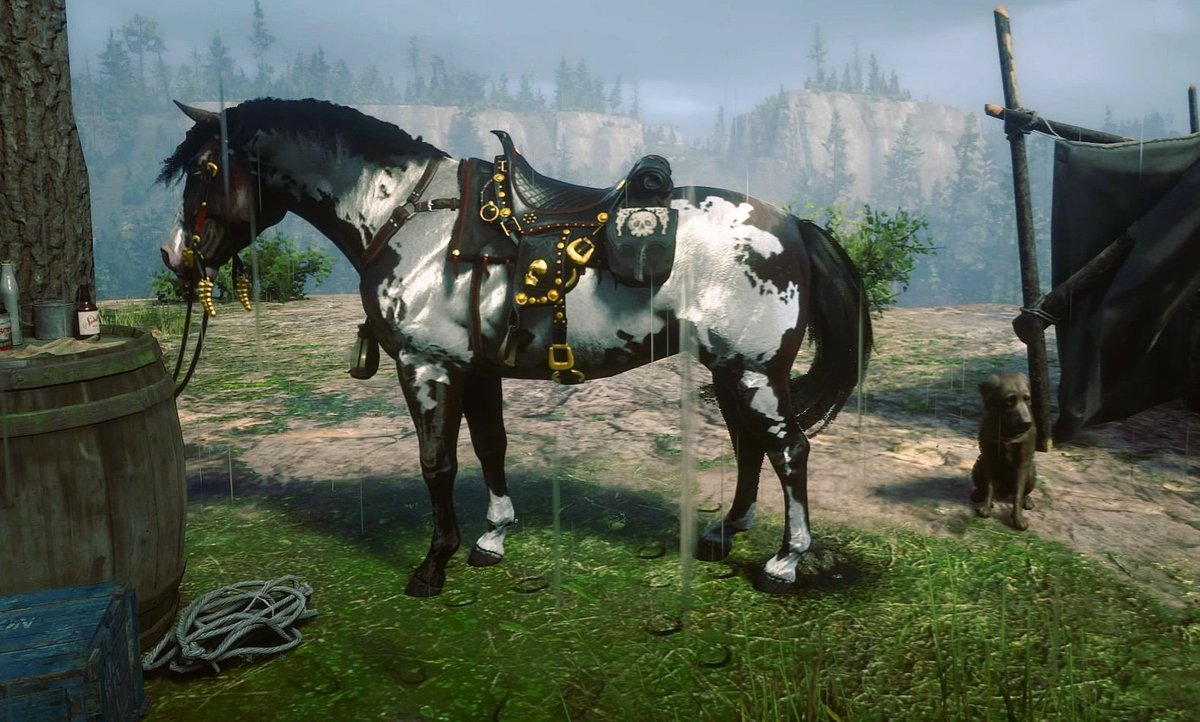 Shannon_360's tweet photo. My new boy Kovu #reddeadredemption2 #RDR2 #ps4share #RockstarGames #gamergram #RedDeadOnline #PhotoMode #ps4 https://t.co/0RKGmVc4O5