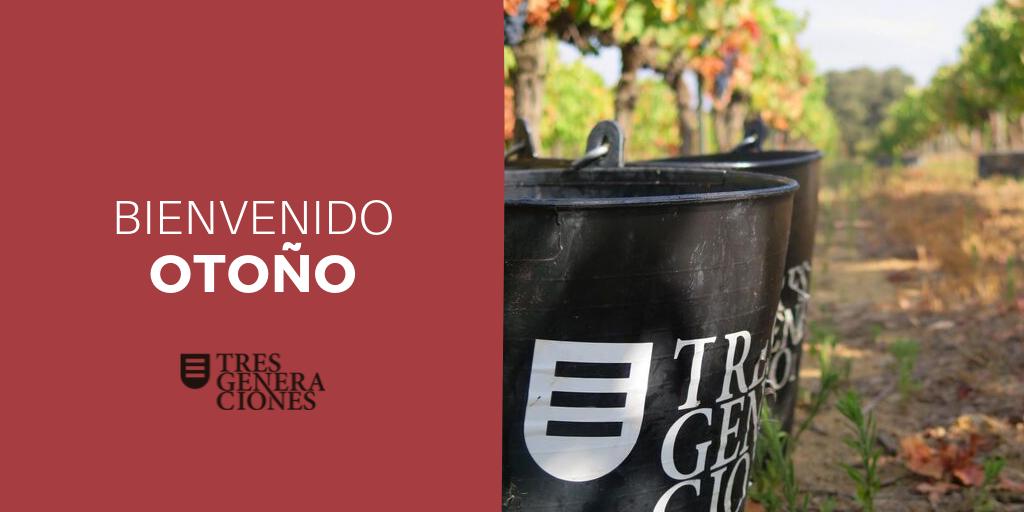 Vinos Tres Generaciones tweet media