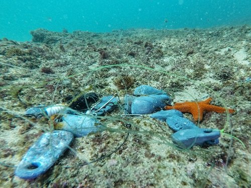 StrandloperP's tweet photo. #StrandloperProject documenting #ghostfishing, #reef damage and entanglements in the #GardenRoute. #SouthAfrica #recfishing #fishforthefuture #keepfinalive #KnysnaBasinProject #PlasticFreeFuture https://t.co/t34UZwxdmF https://t.co/BhvCPzgxX4