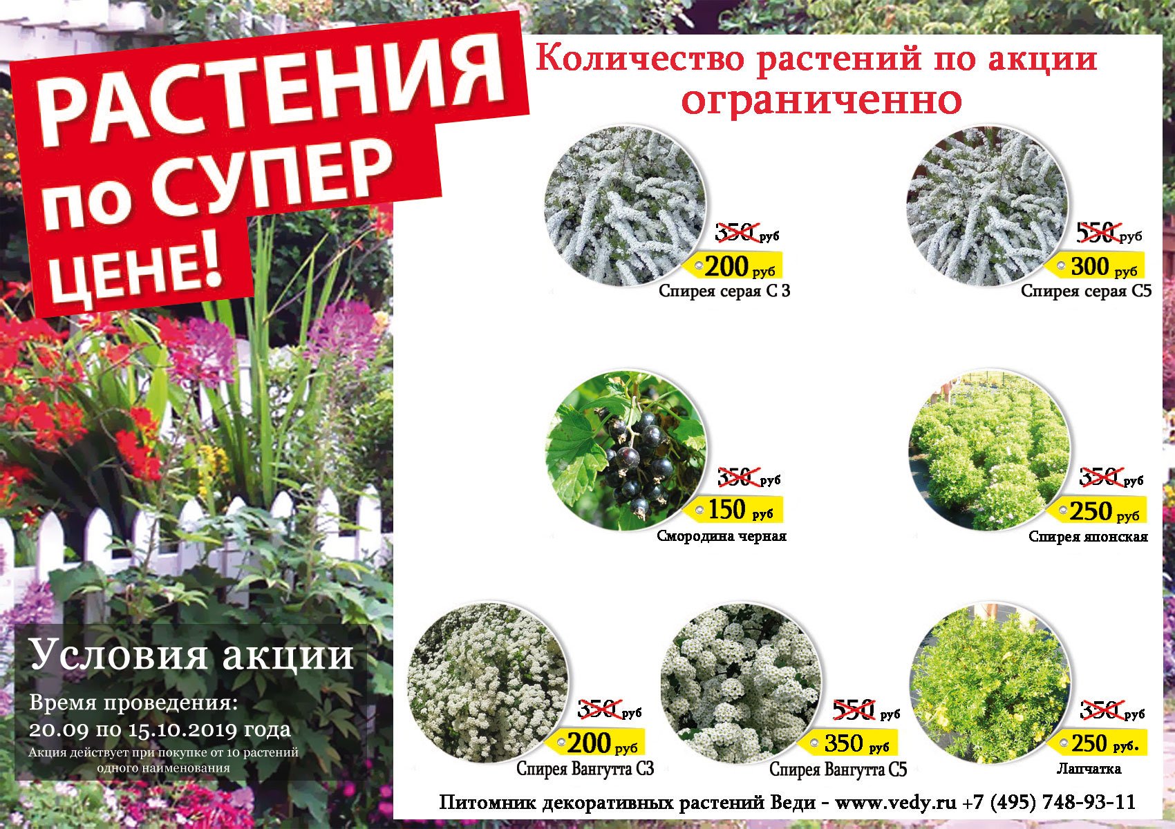 Каталог растений