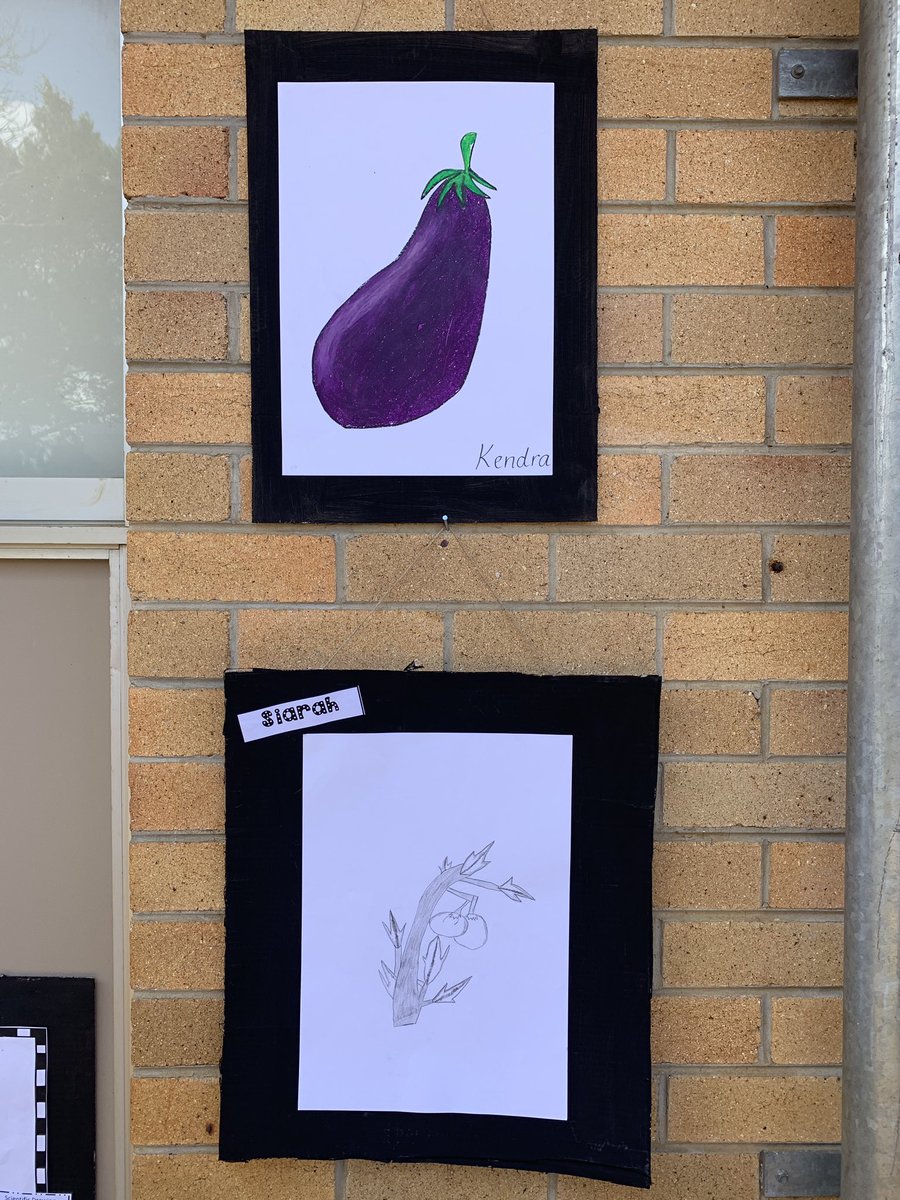 A highlight of of Celebration of Learning was definitely the Year 2 Garden Gallery. <a href="/KFoate/">Karen Foate</a> Thanks for the great idea <a href="/Trish_Stewart28/">Stewart</a>