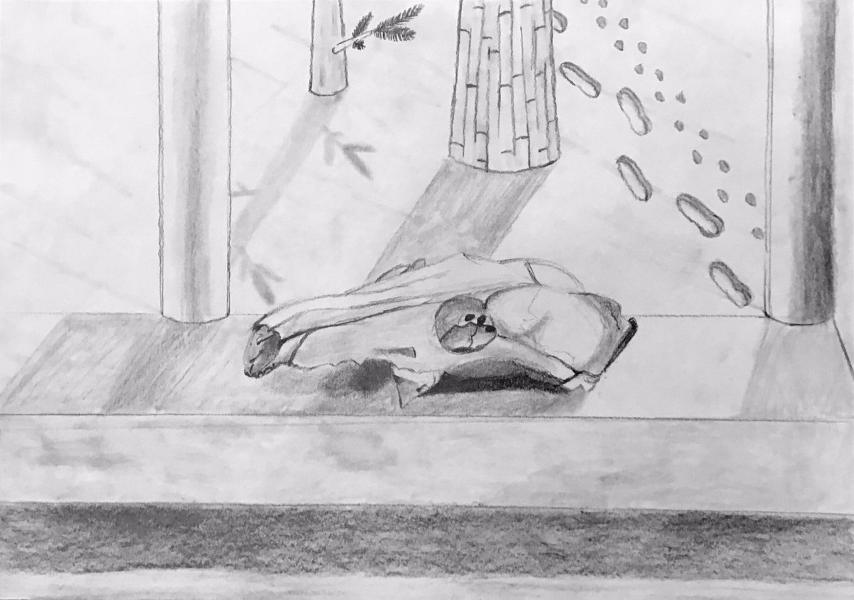 KESWvisualarts's tweet photo. Some incredible work produced with our Artist in Residence this week. Well done Henrik @KESWvisualarts #KESWart #KESWresidentartist #illustration #stilllife https://t.co/sY2WPKIkdR