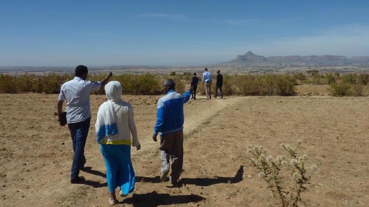 Suntrace_GmbH's tweet photo. Lowest winning bid $0.02526/kWh for #PV project in #Africa - @ACWAPower was selected by PPP-DG to build the #solar projects Gad &amp; Dicheto in #Ethiopia. We are happy to have contributed with owner´s engineering &amp; a solar measurement campaign: https://t.co/Jb4gtzTXXn

#scalingsolar https://t.co/xSxzRwkKhG