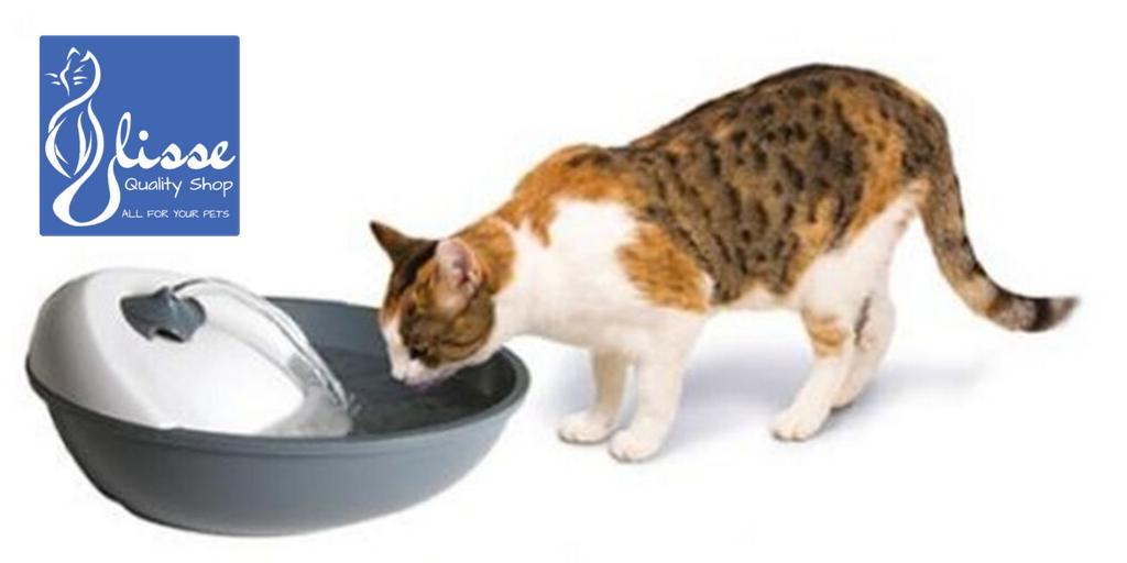 UlisseQualitySh's tweet photo. Fontanella Automatica Camon su Ulisse Quality Shop. Un'offerta da non perdere. Scopri di più.

https://t.co/MMjzHYd7gv

#fontanella #cani #gatti #animalidacompagnia #petshop #ulissequalityshop #camon https://t.co/2A93f5DyKx