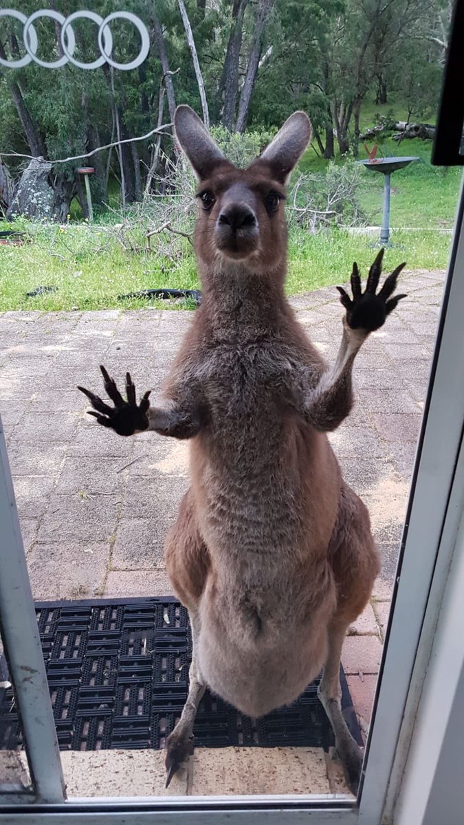 Judy_Dunlop's tweet image. Hello I wonder if you have a moment to talk about our Lord and saviour?