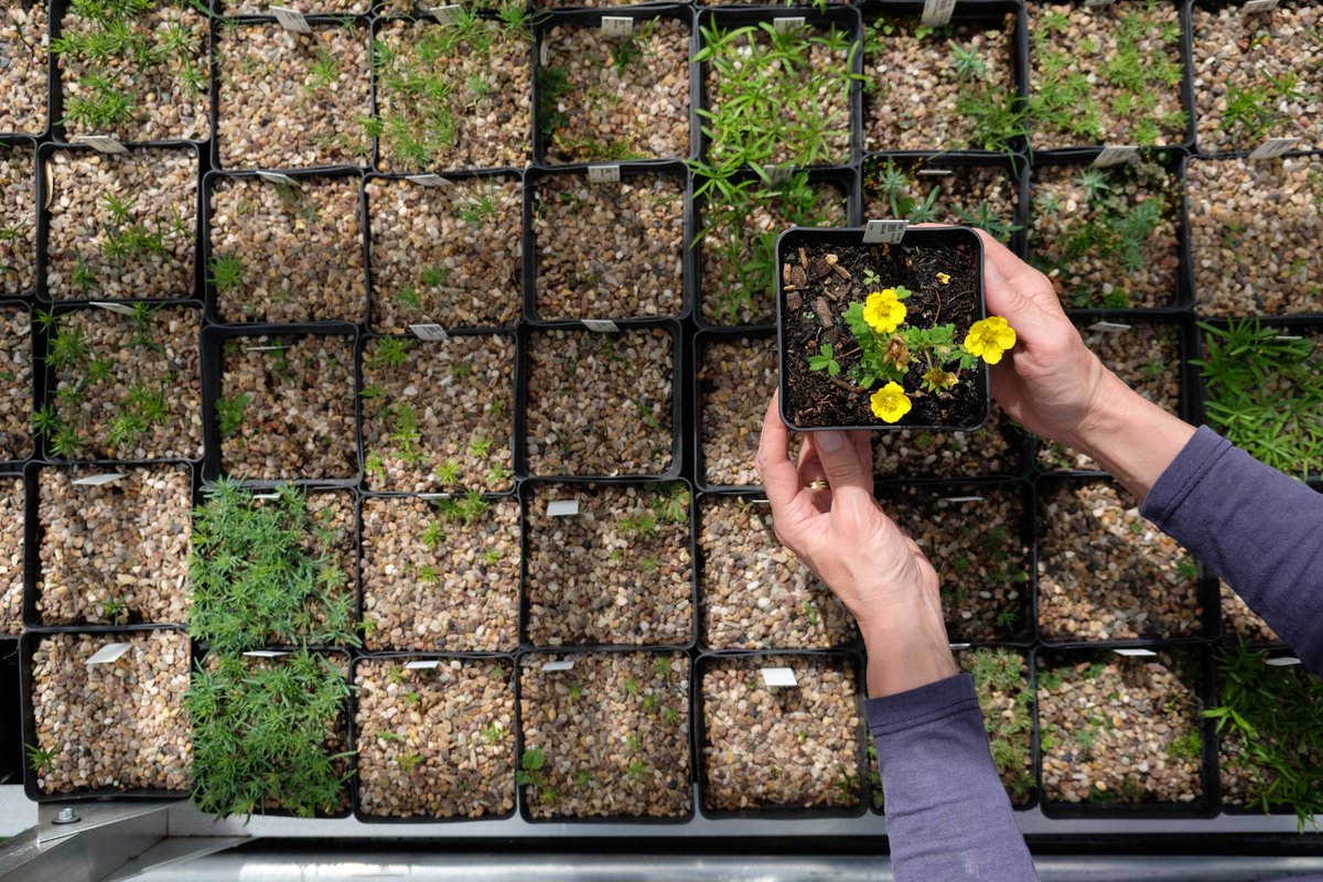 Kate Hughes tweet media