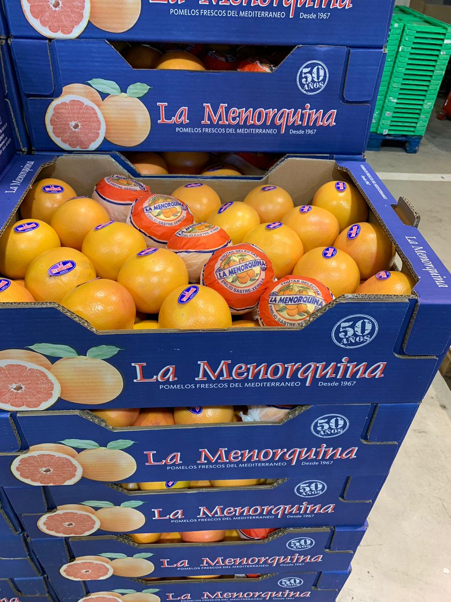vvfruit's tweet photo. https://t.co/gwbDvblZ22