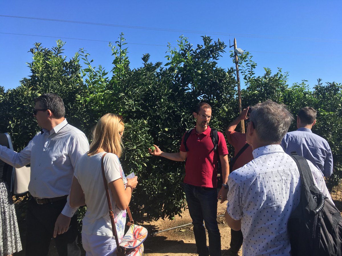 Campialcores's tweet photo. Visitamos una finca de naranjos en regadío 🌳🍊donde Smart Ag Services está realizando trabajos en agricultura de precisión. Nuestro compañero @gregoegea explica al grupo los avances del proyecto. #Agricultura #agriculturadeprecision #smartagservices #precision #loradelrio https://t.co/Ds45oX8ZTL